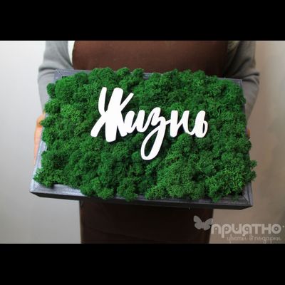 ЖИВАЯ ЭКО-КАРТИНА 1054