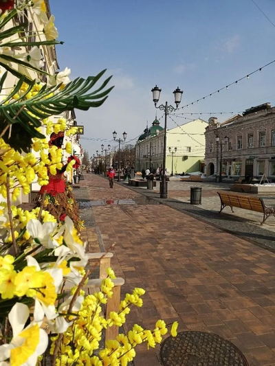 Экскурсия «Тамбов: купеческий город на Цне, тамбовский волк и наследие Рахманинова»