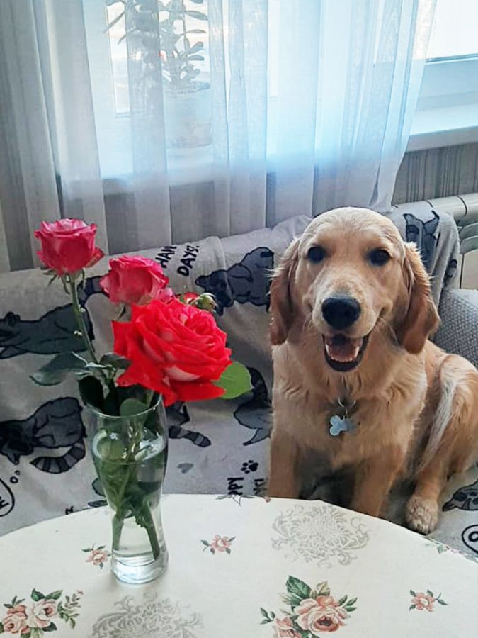 Юта (Русское Золото Юлисси), 1 год