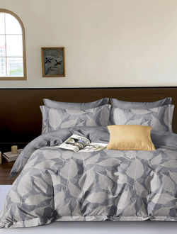 Постельное белье TANGO Twill сатин 2 спальное 180x210x1 220x245x1 50x70x2 TPIG2-1941-50