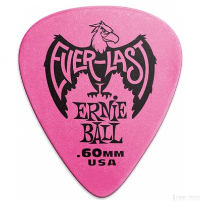 Ernie Ball 9191 Everlast