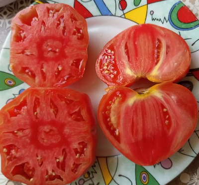 Томат Ребристый Эуганских Холмов (Costoluto Colli Euganei), Италия