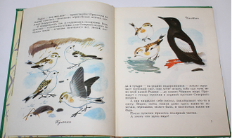 Бианки В. В. Наши птицы. М.: Малыш. 1983г.