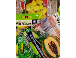 Кабачок, патиссон, тыква