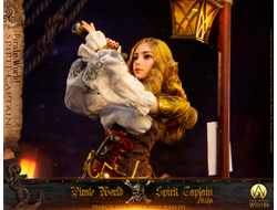 Эльфийка-пират Аиша - КОЛЛЕКЦИОННАЯ ФИГУРКА 1/6 Captain Aisha (WS018A) - War Story