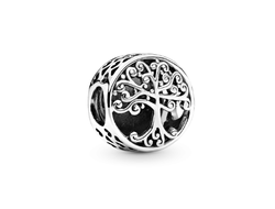 Шарм Пандора Фамильные ценности Артикул 797590