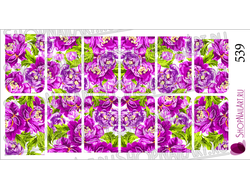 Слайдер-дизайн 539