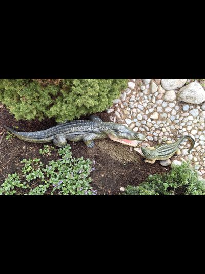 Крокодил 15*40см   1,2кг   полистоун Россия 1844/012457*