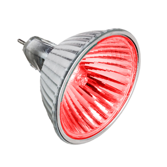 Галогенная лампа Muller Licht HLRG-535F/Rot 35w 12v GU5.3 FMW/C