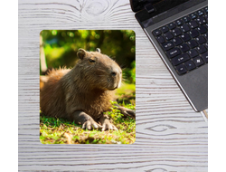 Коврик для мышки вертикальный Капибара, Kapibara-san №40