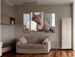 Модульная картина "Кот с розой"