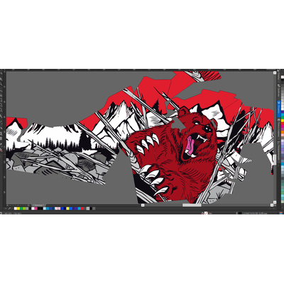 Наклейки на снегоход  Polaris Axys 2016 2017 2018 2019 #1906