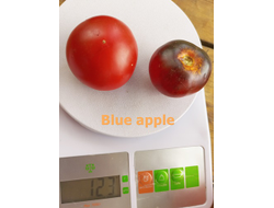 Томат Синее яблоко (Blue Apple)