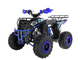 Квадроцикл WELS ATV Thunder EVO 125 низкая цена