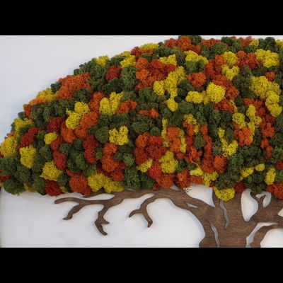 Живая эко-картина 1010 (100х75см)