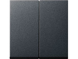 029528 Gira, Клавиша 2-клавишного выключателя, антрацит