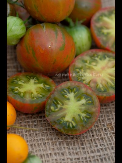 Томат Delta Diver red (Гном Дельта Дивер Ред), 10 шт