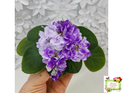 АВ-В Краю Единорогов (Фиалковод) 2020 г.