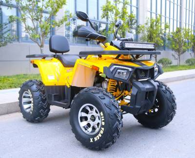 Квадроцикл подростковый MotoLand ATV 200 WILD TRAСK X PRO