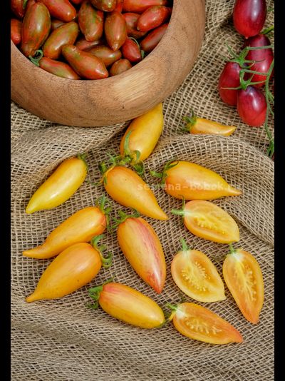 Томат Sweet Cream (Сладкий Крем), 10 шт