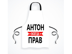 Фартук #11 Антон