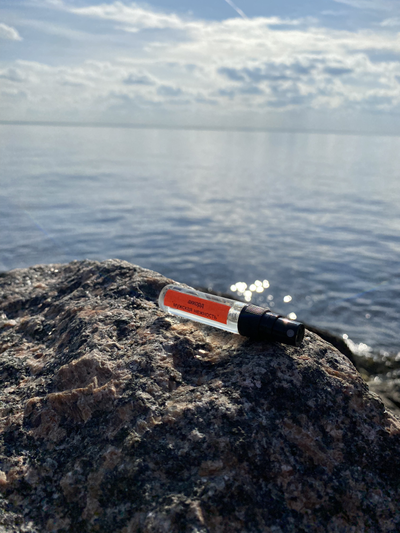 Духи АККОРД: МУЖСКАЯ НЕЖНОСТЬ, 5.5 мл