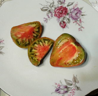 Семена томата Тайга