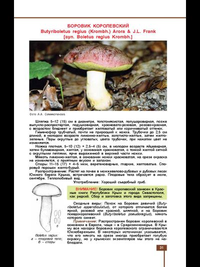 Грибы знакомые и незнакомые