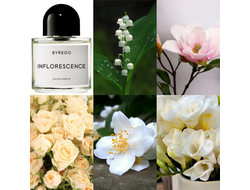 Byredo  Inflorescence