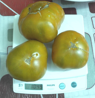 Томат Зеленая сластена