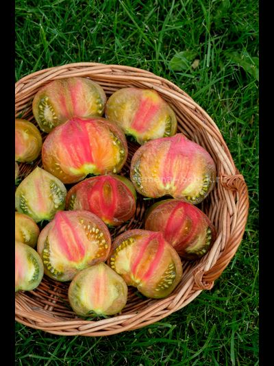 Томат Триумф Софии, 10 шт