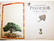 Сибелла С. Большая книга рекордов. Пер. с ит. М.: Росмэн. 2005г.