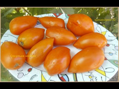 Томат Сосулька желтая