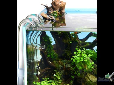 Набор Lily Pipe Duck NANO 13 мм - вход и выход из стекла для наноаквариумов