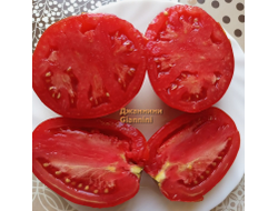 Томат  Джаннини (Giannini)