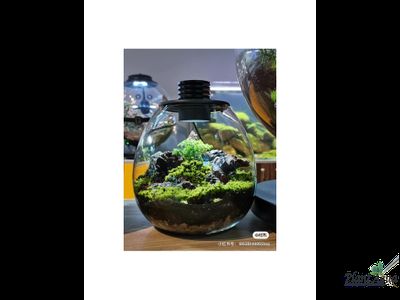 Биобутылка Biolark LED PD 170 (175мм х 195мм)