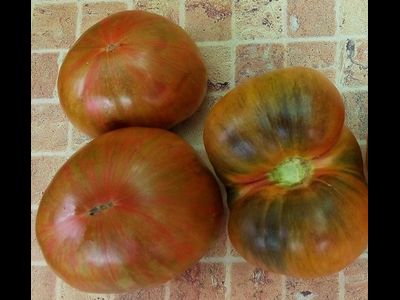 Томат Кровавая Луна (Blood Moon, США)