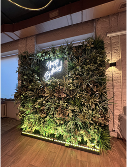 ФитоСтена на день рождения № 1488