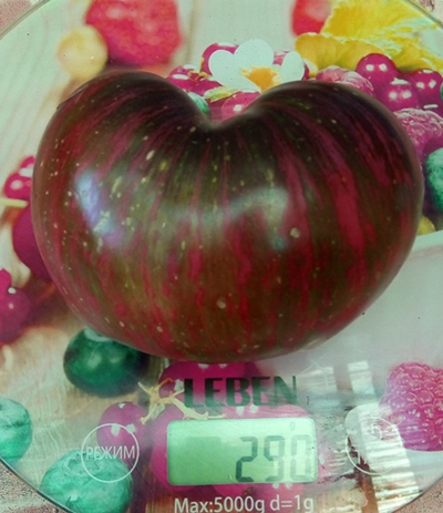 Томат Бифштекс Марши (Marsha's Starfighter Beefsteak)