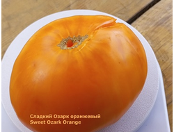 Томат Сладкий оранжевый Озарка (Sweet Ozark Orange)