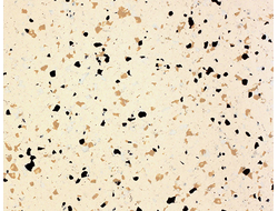 816 Butter Pure Space Conductive токопроводящий линолеум с четырехчипсовым дизайном DLV Flooring