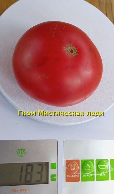 Томат Таинственная леди Dwarf Mystic Lady, Мистическая леди)