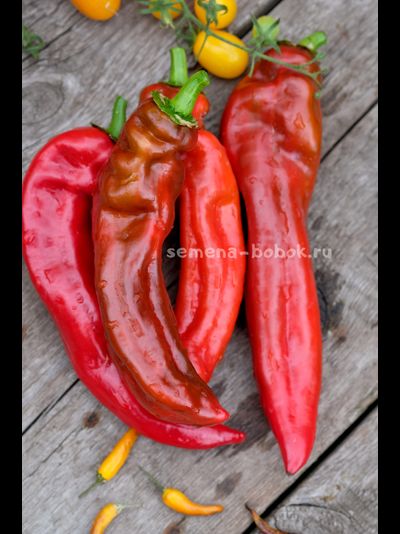 Перец сладкий Палермо Красный, 10 шт