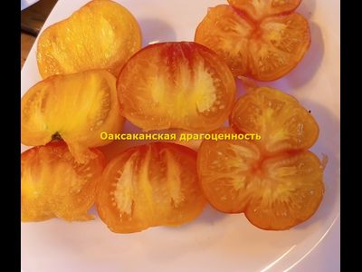 Томат Оаксаканская драгоценность (Oaxacan Jewel)