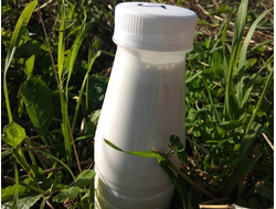 Козий йогурт домашний питьевой