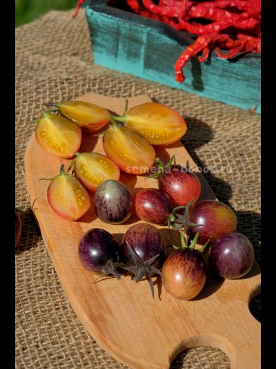 Томат Любушка, 10 шт