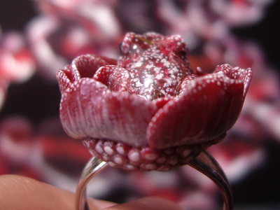 Парадное кольцо "Дикий сербарин и лягушка"