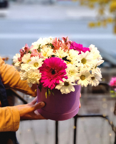 Композиция