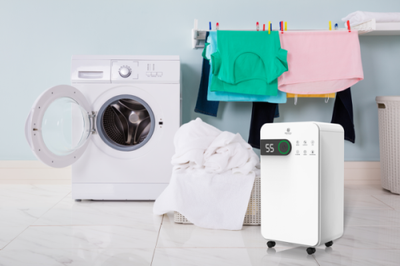 Осушитель воздуха Royal Clima RD-PC16-E Pacific Studio