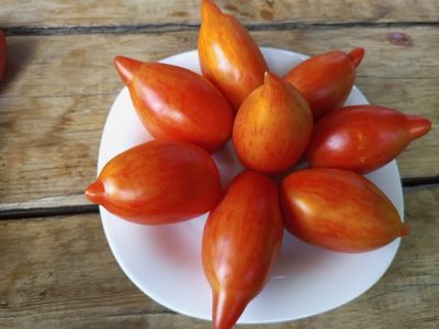 Томат Сливка полосатая